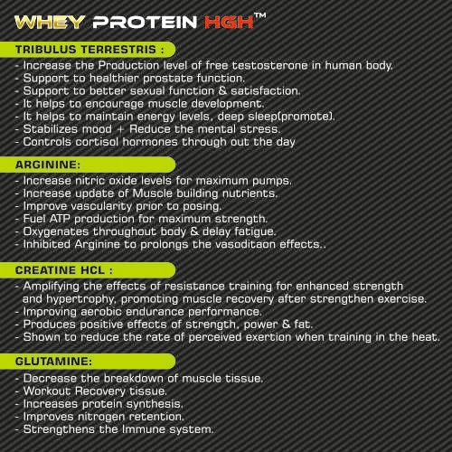 2_Whey Protein HGH – Website Sub Image
